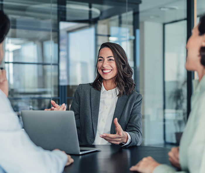 business consulting process bizpartner